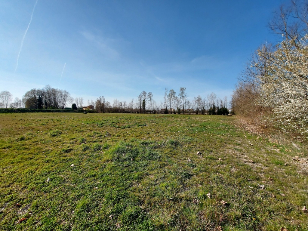 Venezia, tra Dolo e Fiesso D’artico, terreno agricolo con magazzino attrezzi